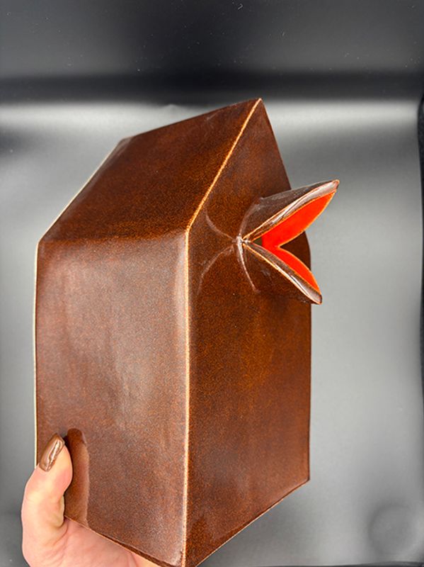 Fuglehus #Fuglesnapper